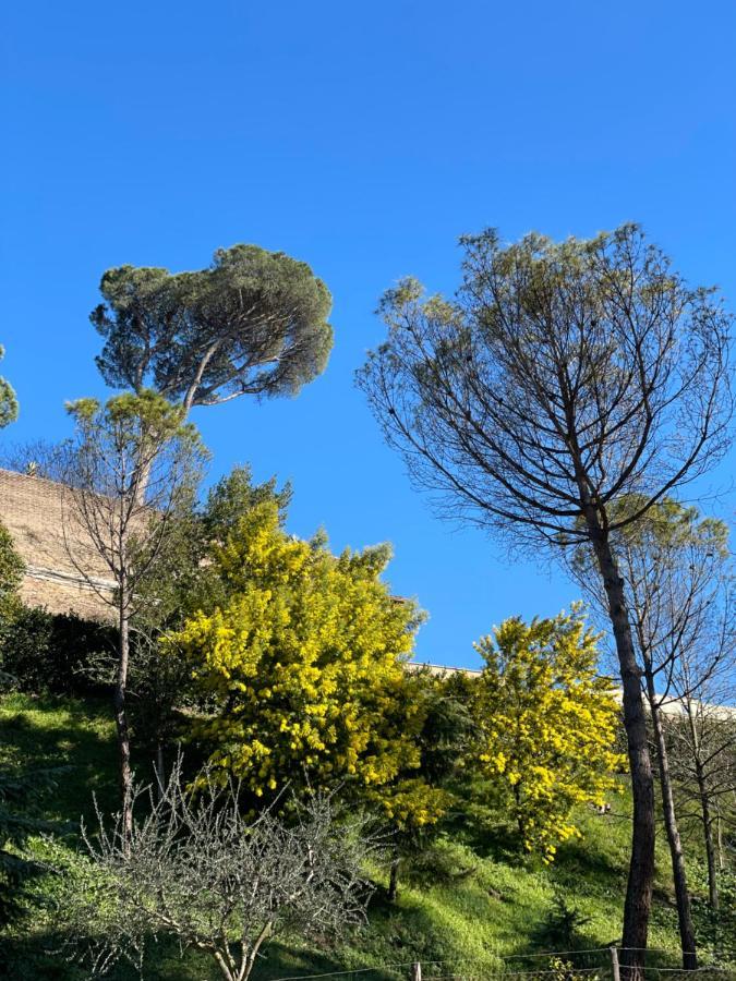 Vatican Green Holidays House Rome Extérieur photo